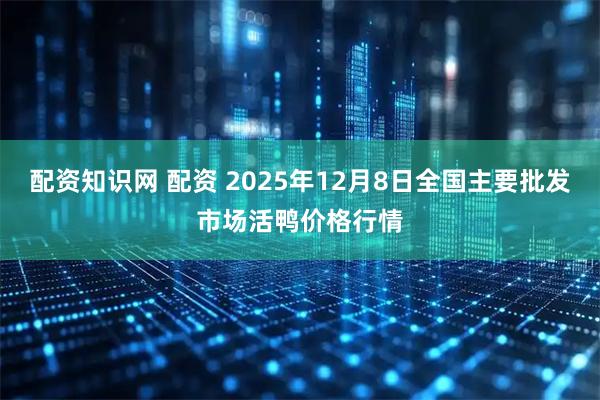 配资知识网 配资 2025年12月8日全国主要批发市场活鸭价格行情